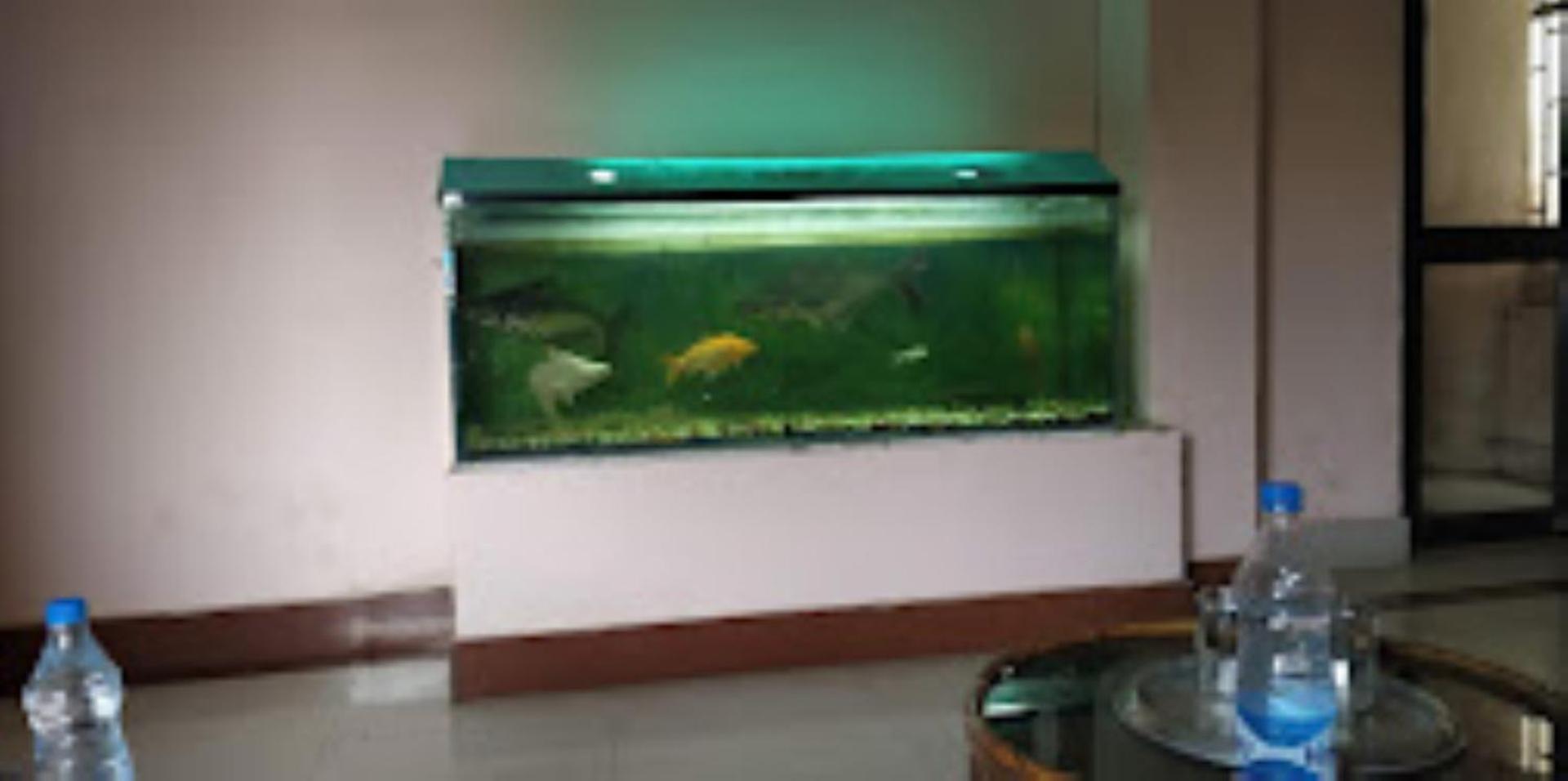 Hotel Blue Wheel,Bhubaneswar Dış mekan fotoğraf